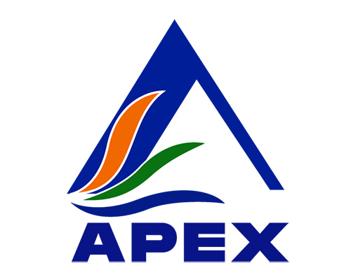 Apex logo