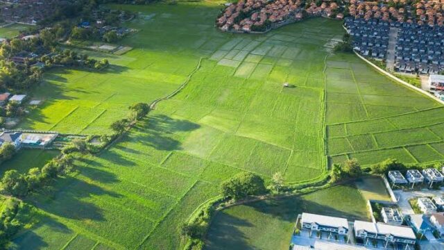 Agriculture land consolidation